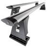 Portaequipajes de techo adecuadas para Fiat Fiorino III Furgoneta (2008-2011) - baca plata para coche - barras para techo de coche - puntos de montaje - aluminio