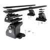 Portaequipajes de techo adecuadas para Citroen C8 Monovolumen (2002-2010) - baca negra para coche - barras para techo de coche - perfil en T - aluminio