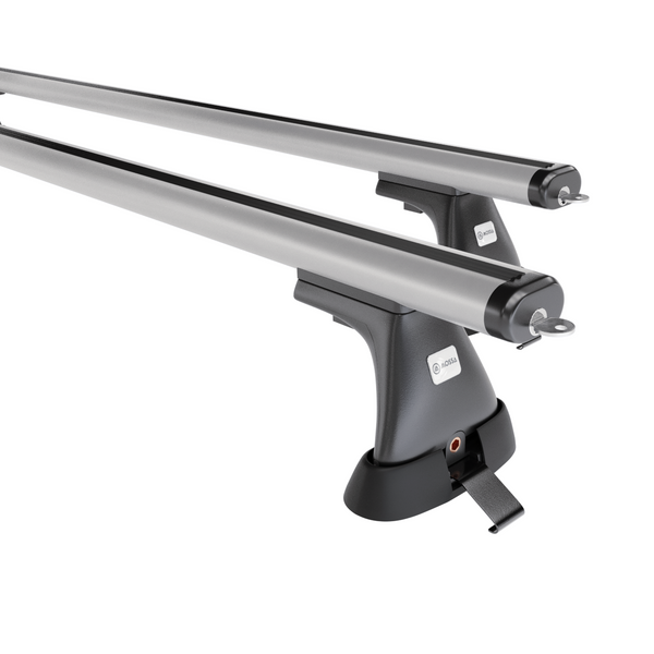 Portaequipajes de techo adecuadas para Citroen Berlingo mk I Furgoneta (2003-2010) - baca plata para coche - barras para techo de coche - puntos de montaje - aluminio